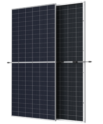 [P&P3160] Trina 410 W TSM-DEG15MC.20(II)-BIFACIAL